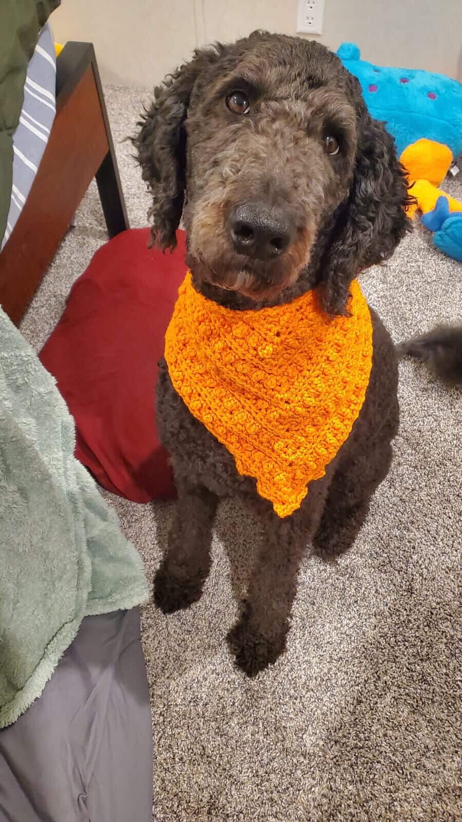 Furbaby Bandana