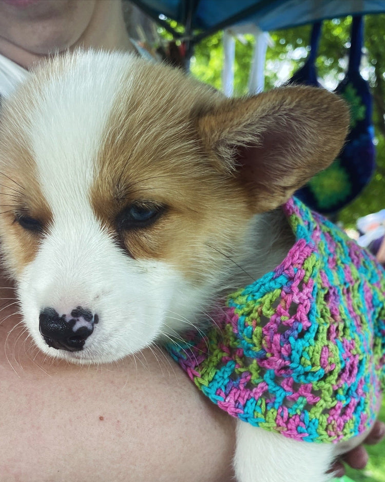 Accessories & Jewelry